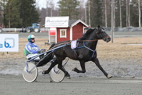 Fjeldstad Goggen starttaa Härmä-ajoon numerolla 12.