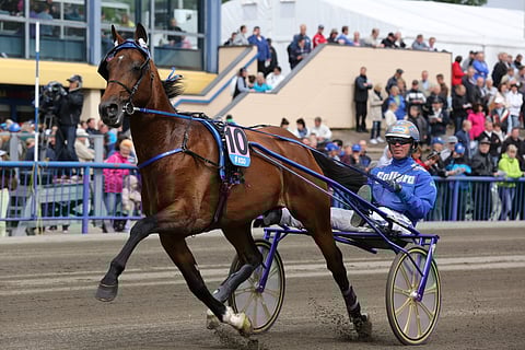 Björn Goop ja Timoko. Kuva. Jarno Unkuri