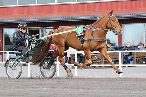 Vitter ja Jalmari Svart lämmittelemässä ennen Porin starttia. Nyt tie ja laiva vievät Solvallaan.