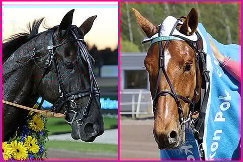 Kumman hevosen haluat nähdä tulevan keskiviikon kannessa?