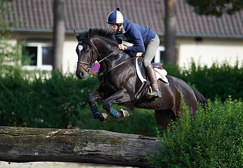 Soraya oli Jankarilla nuorena hevosena, mutta välillä se oli reilun vuoden poissa.