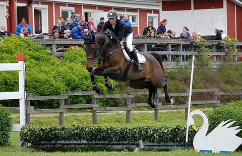 Susanna Granroth ja Anatevka Ypäjällä alkukesästä.