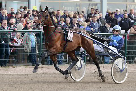 Jontte Boy aloittaa kautensa lauantaina Porin Kultaloimessa.