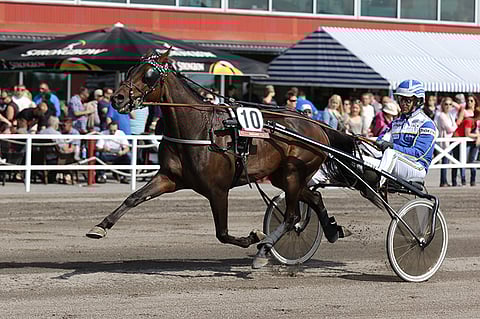 Fast Motioniin luotetaan ruunan kotiradalla.
