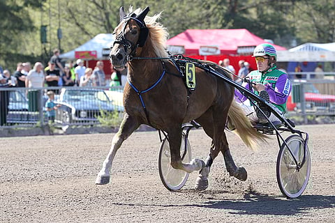 Costello on Porin Toto4-rivin pankki korkeillakin prosenteilla.