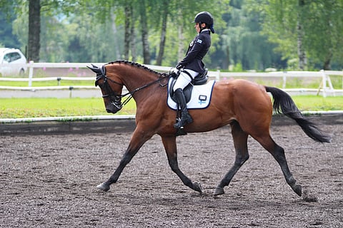 Jaana Kivimäki ja Bellilene Ypäjällä, jossa he voittivat kaksi PM-kultaa.