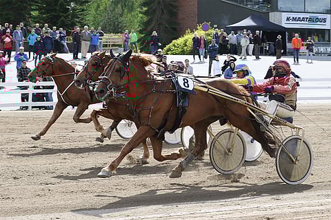 VIime lauantaina Killerin Kimarassa Camri ennätti maaliin ennen Suivikasta ja Vitteriä.