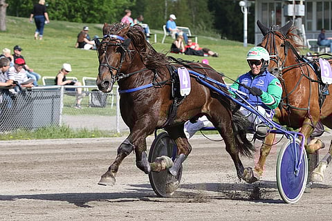 Köppisen oikean etujalan hankoside todettiin maanantaina klinikkakäynnillä vahingoittumattomaksi.