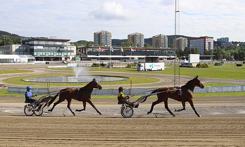 MAS Archie ja Anni Järvinen sekä Sarianne Hynynen ja Victory Bonsai aamuhölkällä Bjerken raviradalla.