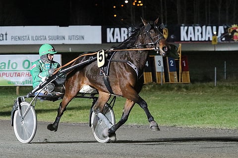 Tea Cake on Toto65-kierroksen megasuosikki.