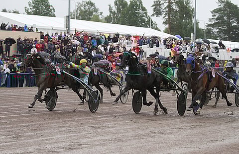 Trebol (5), Univers de Pan (4) ja Timoko (8) vyöryivät maaliin rinta rinnan. Trebol veti pisimmän korren ulkorataa pitkin.