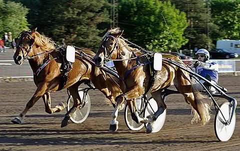 Saaga S ja Carmela pinkoivat rinnatusten maaliin Vermossa.