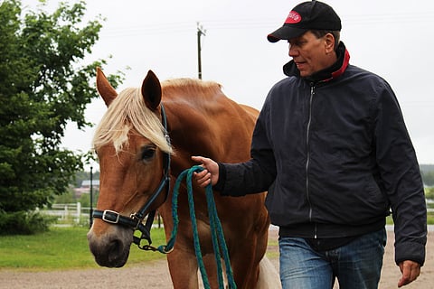 Seppo Suurosen valmentama Carmela on aliarvostettu.