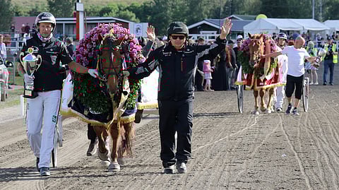 Vitter voittajana 2016 Turun kuninkuusraveissa. Kuva Hevosurheilun arkisto