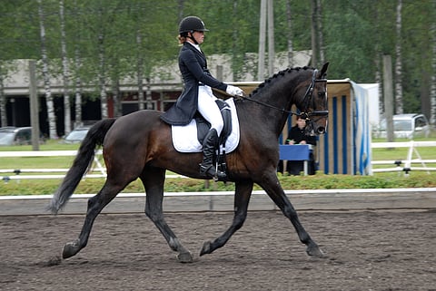 Eirin Losvik ja Daffodil's Flamenco lähtevät nuorten SM-estekokeeseen johtopaikalta.