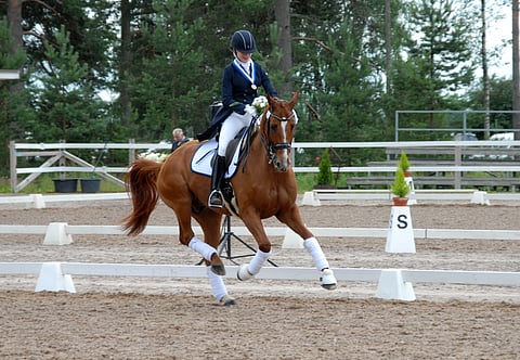 Ella Paloheimo ja Wolle Wolkenstein saivat PM-pronssia Suomelle nuorten ratsastajien koulussa.