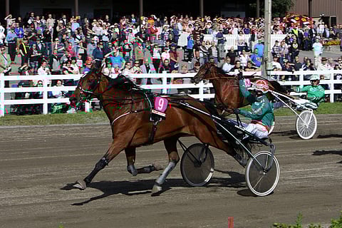 Kolmet kasvattajakruunut voittanut Moonlight Love jatkoi aikuisen uraansa voittamalla St Michel tammatähden Hannu Torvisen ajamana.
