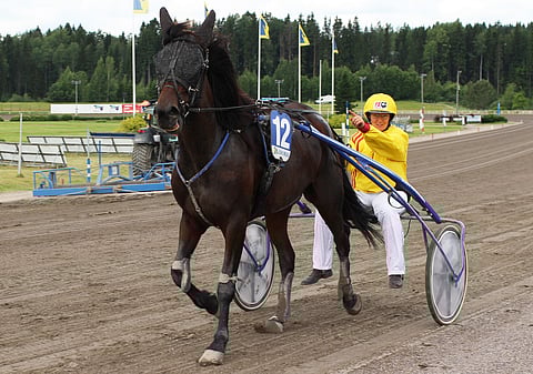 Lahdessa takarivin uloimmalta lähtöradalta voittoon kiertänyt Mountain Cleaver on ideasysteemin näkemysvarma.