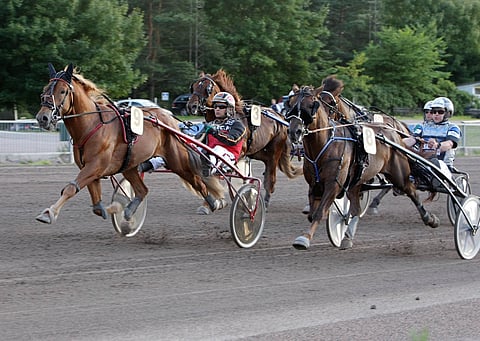 Keski-Suomen oriit Tähen Toivomus ja Evartti kävivät tiukan taiston tämän vuoden Tawaststjernan Muistoajosta.