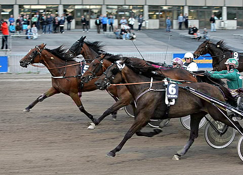 Karsintalähdön voitosta käytiin kiivas kamppailu kolmen tamman kesken.