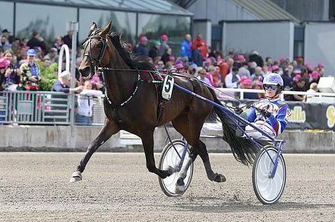 Ratu Royale vei nimiinsä Breeders Crown -lähdön Uumajan Umåkerin raviradalla Olli Koivusen ohjastamana