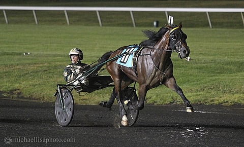 Soutwind Frank ja Yannick Gingras saivat pettyä Hambletonianissa. Gingras hävisi toista vuotta peräkkäin niukasti Ron Burken valmennettavalla ja valjakko koki harvinaiset tappiot sekä Hambon finaalissa että karsinnassa.