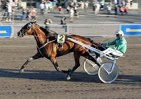 Big Boss Kemp on tapaninpäivän ideavarma.