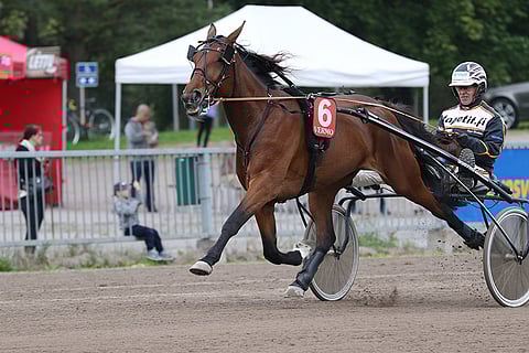 Gisela Luxi on kolmannen Toto5-kohteen suosikki.