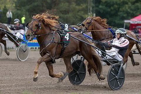 Hullumies palasi Tähtisprintterissä tasolleen ja teki Vermoon uuden rataennätyksen.