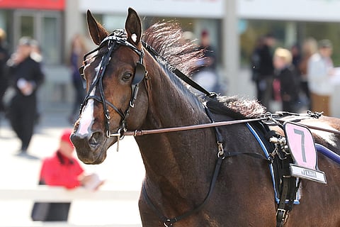 Jonesy voitti Jokimaan Triplatonniravien Toto4-avauksen murskaavalla esityksellä keulapaikalta. Kuva: Anu Leppänen
