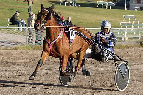 Fire Sprucella on Toto5-pelin neljännessä kohteessa sopiva tehtävä.