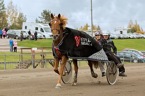 Saaga S ravasi voittoon Lappeessa. Kyydissä ohjastaja Matti Nisonen ja omistaja-valmentaja Ilkka Pyysalo.