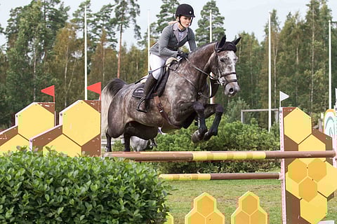 Quasilento olisi voittanut Triple Crownin. Tässä menossa kohti Breeders-voittoa.