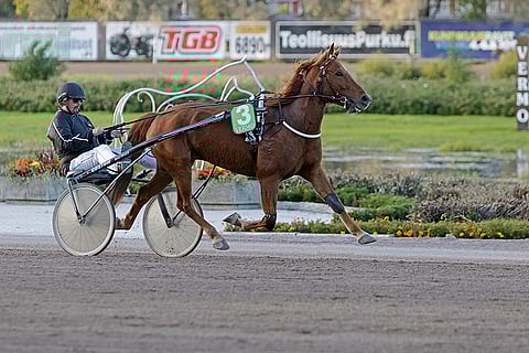 Ainon Ilo pakenee vastustajiltaan Seinäjoella.