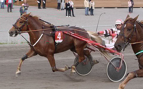 Uljas Suomalainenpystyy ohituksiin alussa tai lopussa, vaikka vastaan asettuu kivikova Pauhis. Kuva Harri Lind.