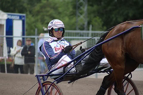 Reijo Liljendahl osti viime syksynä Long Tomin Harrisburgin huutokaupasta 60.000 dollarilla. Nyt ori tuo suomalaisomistajille taaloja Pohjois-Amerikan varsalähdöissä.