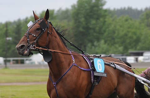 Big Slick vuonna 2014.