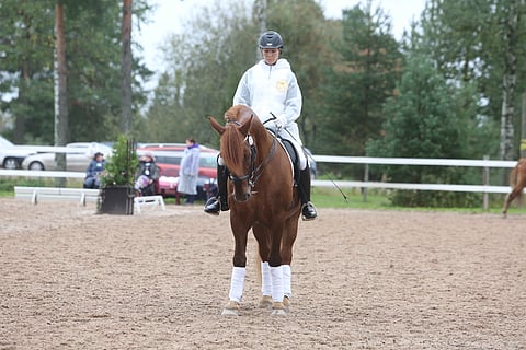 Corleone ja Heidi Svanborg-Lodman valmiina radalle. Ypäjällä oli haastavat olosuhteet ja välillä tuli vettä oikein kunnollakin. Katsomot olivat kuitenkin täynnä suomenhevosihmisiä. Kür-finaali alkaa sunnuntaina klo 14. Sadetta on luvattu sunnuntaillekin.