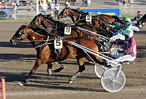 Freddie Ale on voittanut aiemminkin Antti Teivaisen ajamana Toto65:ssä.