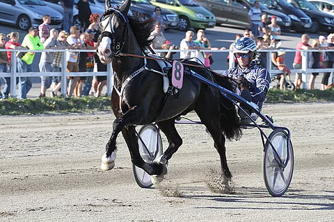 Tekno Odin on nyt nopein norjalaishevonen kautta aikojen.