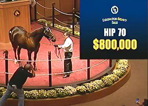 Tactical Landing (Muscle Hill - Southwind Serena, Varenne) on kaikkien aikojen toiseksi kallein ravurivarsa. Detour Hanover maksoi viisi vuotta sitten Harrisburgissa 825.000 dollaria.