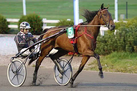 Markku Niemisen Callela Eliza aloittaa sunnuntaina suomalaisista finaalitikettien metsästyksen.