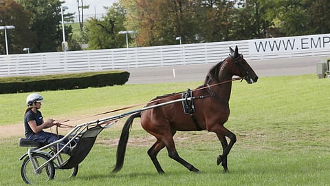 Explosive de Vie on nimensä mukainen, räjähdysaltis ruuna. Lauantaina se ei täysin pääse hyödyntämään lähtönopeuttaan kaikkien rynnätessä hakemaan paikkaa sisäradalta, sillä arvonnassa tuli huonoin mahdollinen numero - takarivin 10.