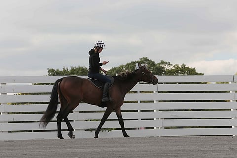 Tano Borkia treenataan ainoastaan ratsain. Christina Lindhardt on voittanut sillä tukun montelähtöjä.