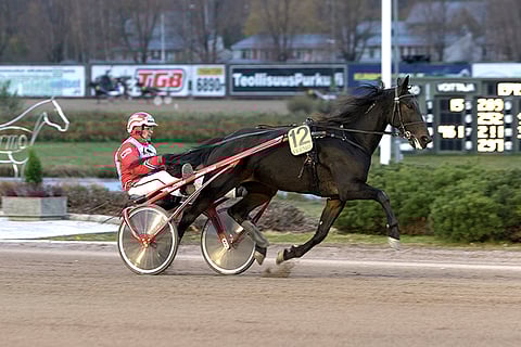 Pazzo Lindy on toinen avauskohteen maistuvista pelihevosista.