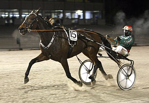 Buck Boko antaa voimiensa puhua poikkeuksellisella 4100 metrin matkalla ajettavassa päätöskohteessa.