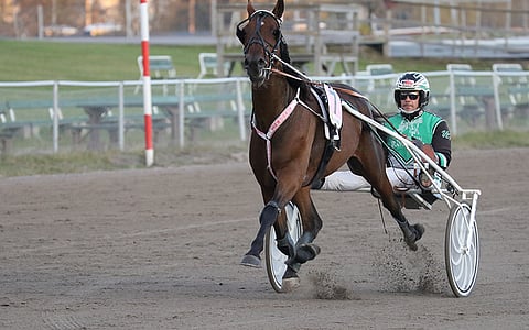 Bonhomme on maistuva pelikohde Seinäjoen Toto4-2:ssa.
