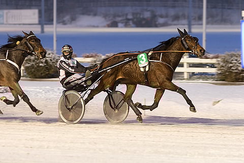 Wilhelm Nash on päätöskohteen suosikki, mutta sille haetaan ideasysteemissä vastavarmaa.
