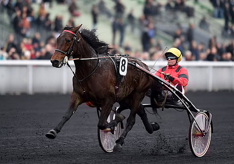Bold Eagle oli kirissä omaa luokkaansa sunnuntaina. Arkistokuva.