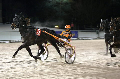 Victory Pilot kiri nappireissulla Toto65-yllätykseen.